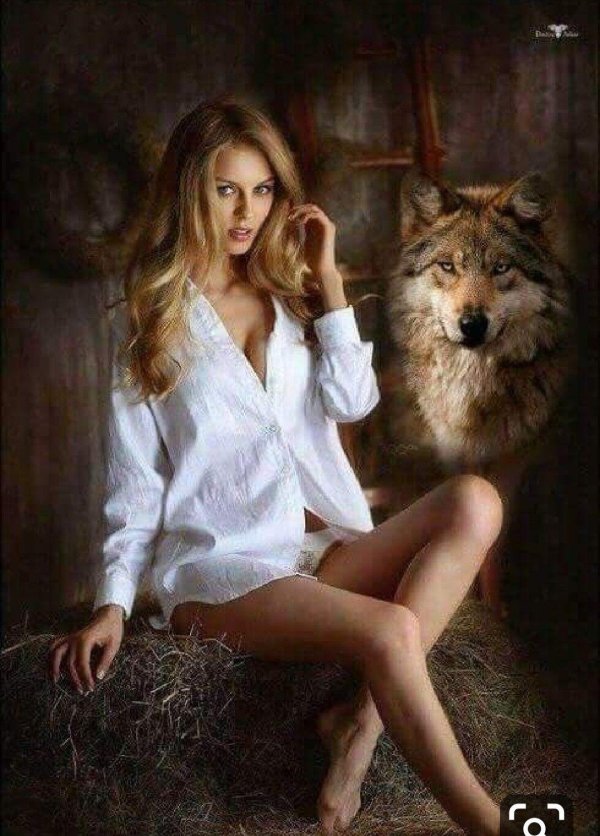 Волки красивые, Девушка, Девушка и волк