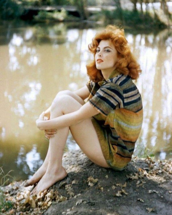 Тина луиз