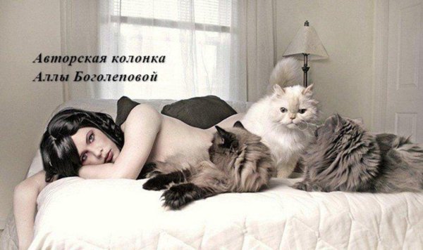 Одинокая женщина с множеством кошек и котов