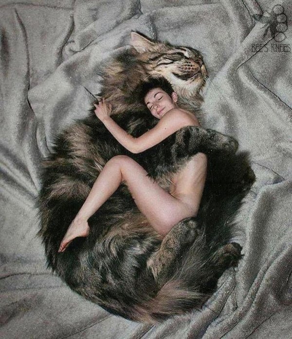 Девушка спит с котом в объятьях