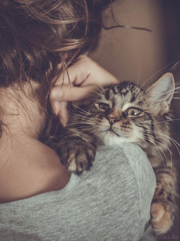 Девушка держит котенка на руках