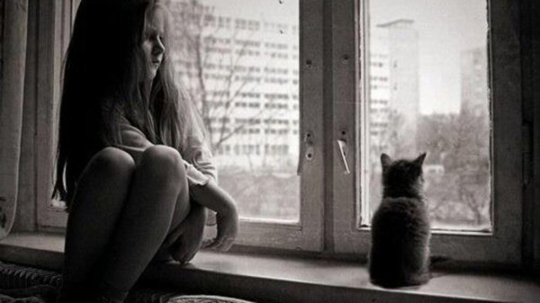 Игривая девушка с котом в романтичной позе на подоконнике у окна
