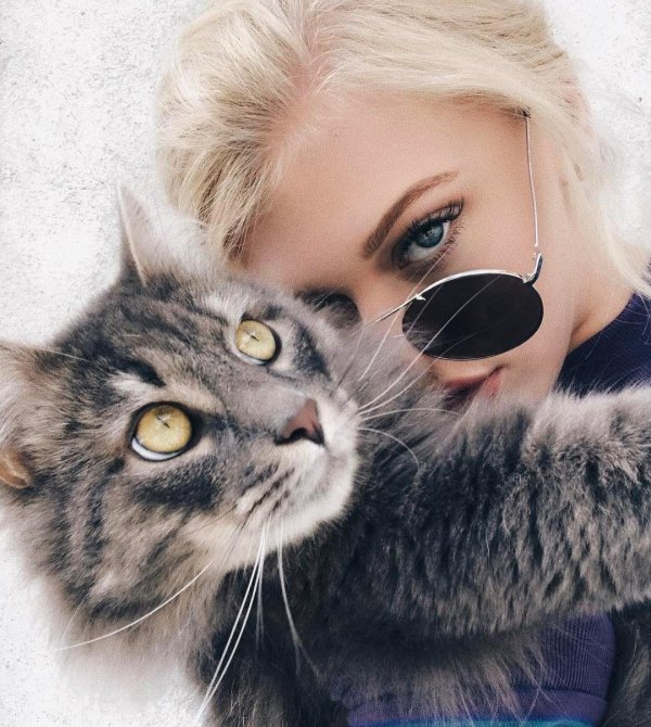 Блондинка с котом, Лорен грей, Девушки с кошками