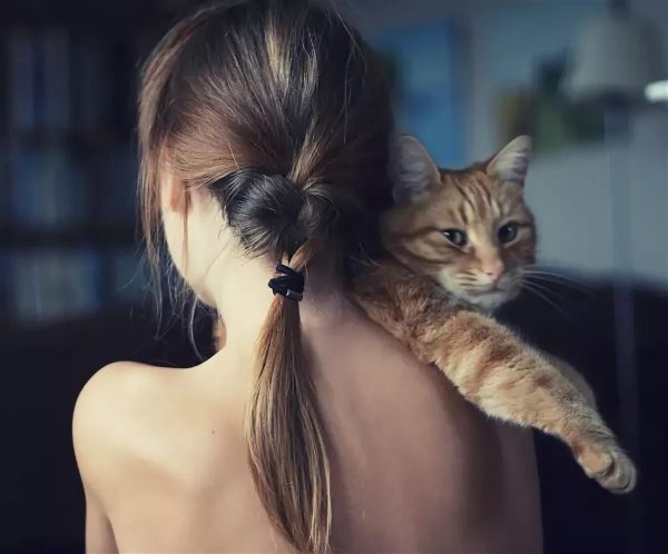 Девушка соблазнительно ласкает кошку со спины