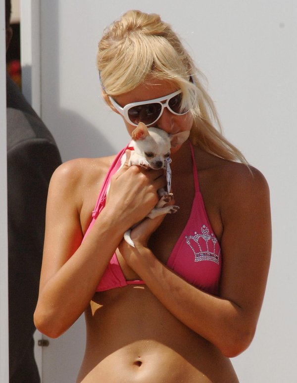 Горячая Paris Hilton в откровенных и соблазнительных позах