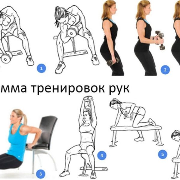 Упражнение на руки в тренажерном зале для девушек, Упражнение для рук, Упражнения на трицепс с гантелями для женщин