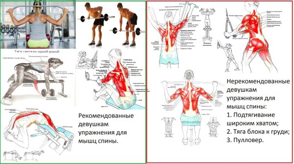 Ромбовидная мышца спины упражнения, Мышцы спины упражнения, Упражнения для качания мышц спины
