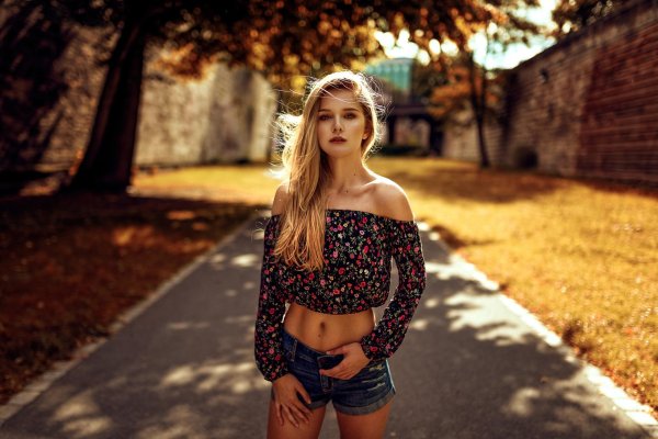 Miro hofmann модель
