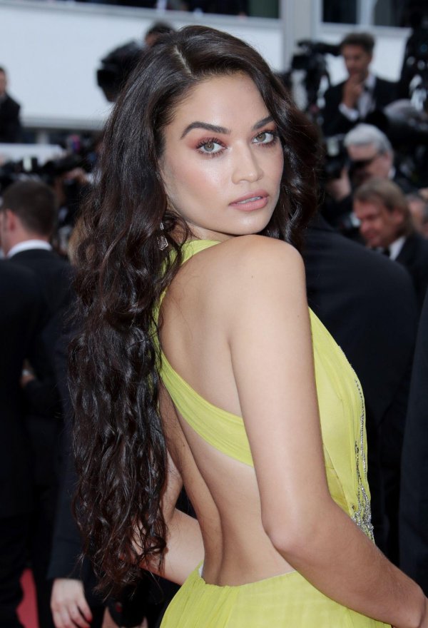 Шанина шейк