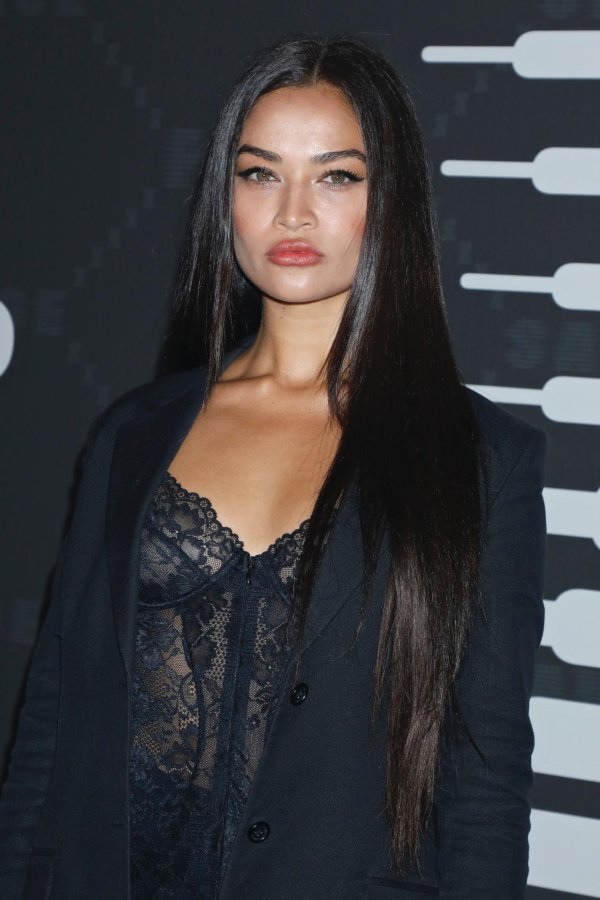 Шанина Шейк на Savage x Fenty в платье с стилем