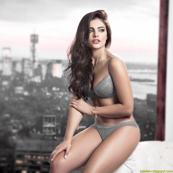 Sara orrego